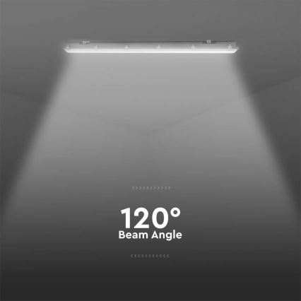 Luminaire technique LED type tube avec détecteur de mouvement et crépusculaire, 48 W, 230 V, IP65, 6500 K, 150 cm