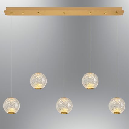 Lustre LED sur câble CREMONA 5xLED/5W/230V 3000K doré