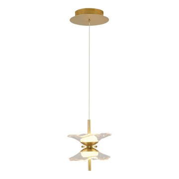 Lustre LED suspendu sur câble BUTTERFLY 2xLED/5W/230V 3000K doré
