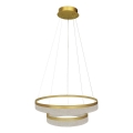 Lustre LED suspendu sur câble GALA LED/54W/230V Ø 60 cm doré