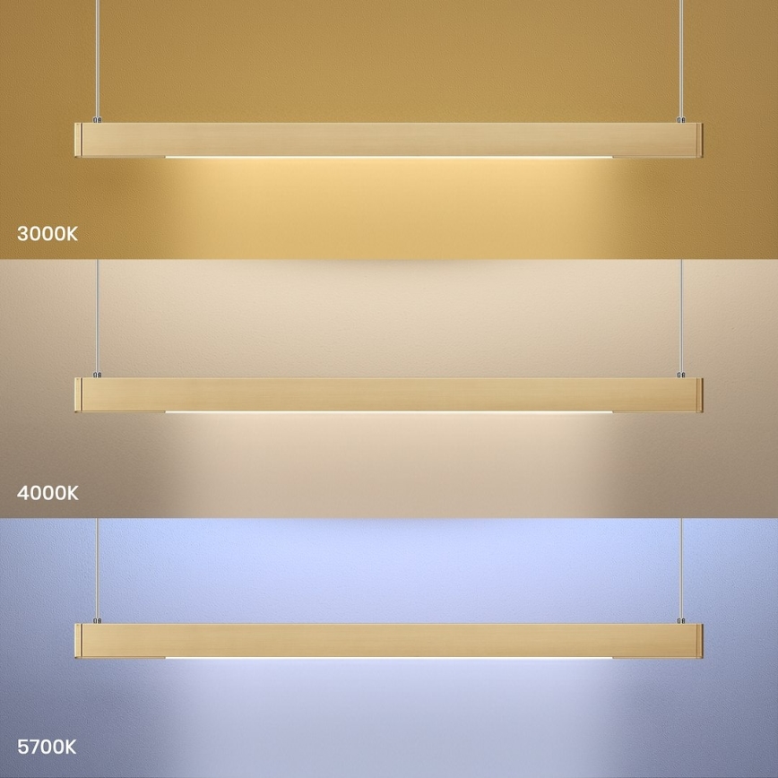 Lustre LED suspendu sur câble LINEA LED/36W/230V 3000/4000/5700K IRC 90 doré