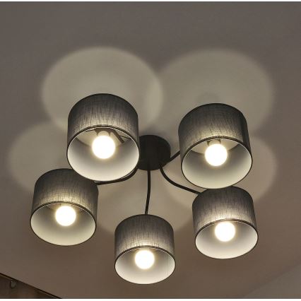Lustre plafonnier ALBA 5xE27/15W/230V gris