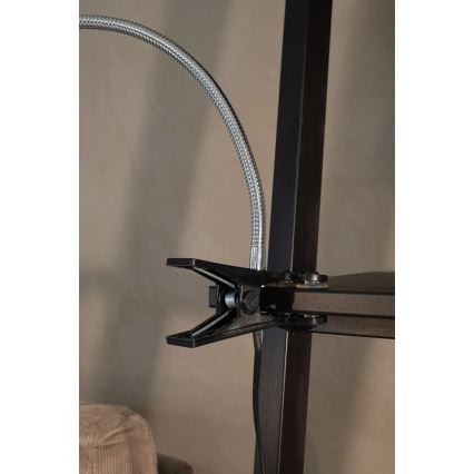 Markslöjd 106092 - LED-Tischleuchte mit einem Clip TULIP LED/3W/230V schwarz