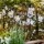 Markslöjd 107293 - Dekorative LED-Outdoor-Lichterkette GARLAND GARDEN 10xLED 5,5m IP44