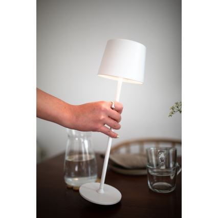 Markslöjd 108654 - Lampada LED dimmerabile ricaricabile FIORE LED/2W/5V IP44 38cm bianco