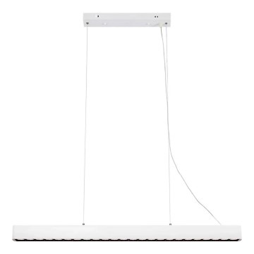 Markslöjd 108892 - Suspension dimmable sur câble PLANO LED/38W/230V blanche