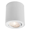 Markslöjd 109020 - Spot LED dimmable DIRETTO LED/5W/230V CRI 90 blanc