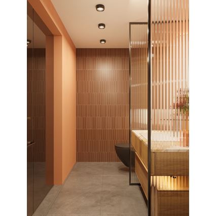 MAXLIGHT C0204 - Plafoniera LED da bagno KODAK LED/8W/230V diametro 10,8 cm IP44 nero