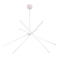 MAXLIGHT P0270 - Suspension filaire ARAIGNEE LED/33W/230V blanc