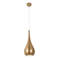 MAXLIGHT P0436 - Hängeleuchte DROP 1xE27/40W/230V d 20 cm golden