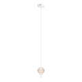 MAXLIGHT P0527 - Suspension filaire PALLONCINI 2xLED/3W/230V d. 12 cm transparent