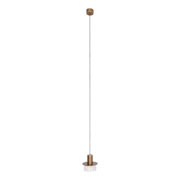 MAXLIGHT P0530 - LED-Hängeleuchte SIGNATURE LED/8W/230V d 15 cm Messing/klar
