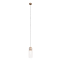 MAXLIGHT P0531 - Suspension filaire SIGNATURE LED/8W/230V d. 15 cm laiton/transparent