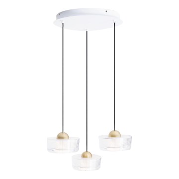 MAXLIGHT P0543 - Lampadario LED a sospensione con filo LIPARI LED/22W/230V diametro 35 cm limpido