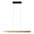 MAXLIGHT P0596 - Lustre LED dimmable sur câble JO-JO LED/40W/230V 2700/4500/5500K doré