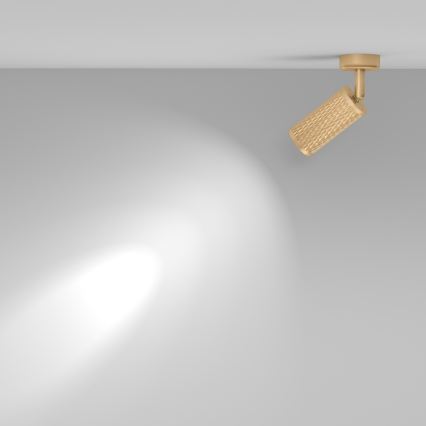 Maytoni C034CL-01G - Spot FOCUS 1xGU10/10W/230V doré