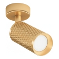 Maytoni C034CL-01G - Spotleuchte FOCUS 1xGU10/10W/230V goldfarben
