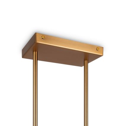 Maytoni MOD007PL-08G1 - Lampadario a sospensione con supporto rigido ASTER 4xE14/40W/230V