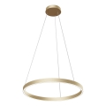 Maytoni MOD058PL-L32BS4K - Lampadario LED a sospensione con filo RIM LED/37W/230V 4000K diametro 60 cm oro