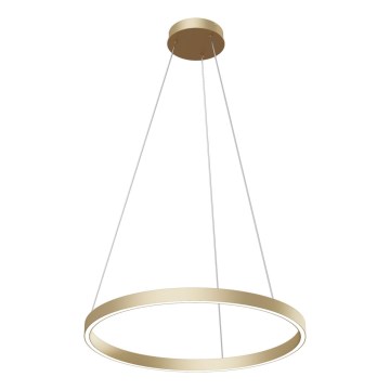 Maytoni MOD058PL-L32BS4K - Lampadario LED a sospensione con filo RIM LED/37W/230V 4000K diametro 60 cm oro