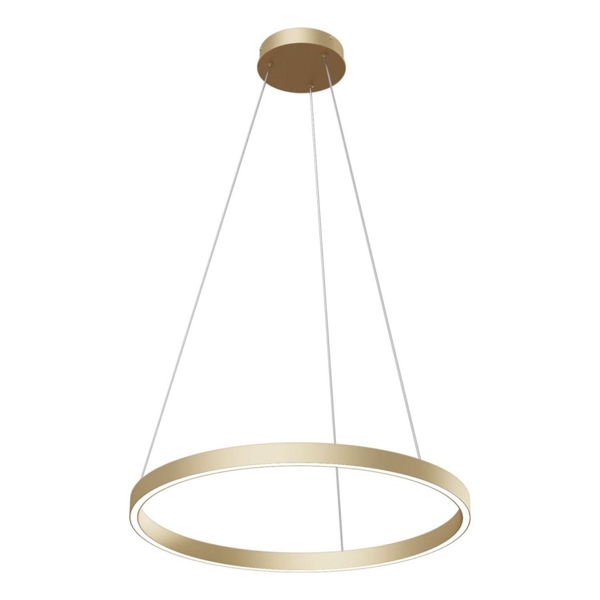 Maytoni MOD058PL-L32BS4K - Lampadario LED a sospensione con filo RIM LED/37W/230V 4000K diametro 60 cm oro