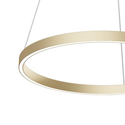 Maytoni MOD058PL-L32BS4K - Lampadario LED a sospensione con filo RIM LED/37W/230V 4000K diametro 60 cm oro