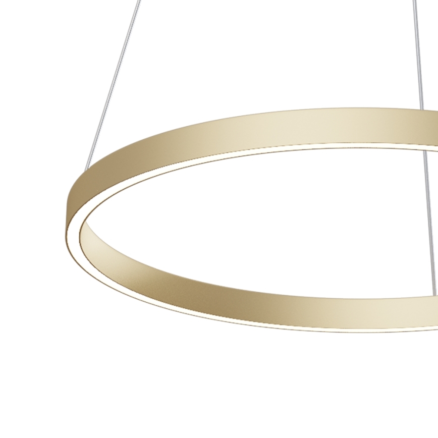 Maytoni MOD058PL-L32BS4K - Lampadario LED a sospensione con filo RIM LED/37W/230V 4000K diametro 60 cm oro