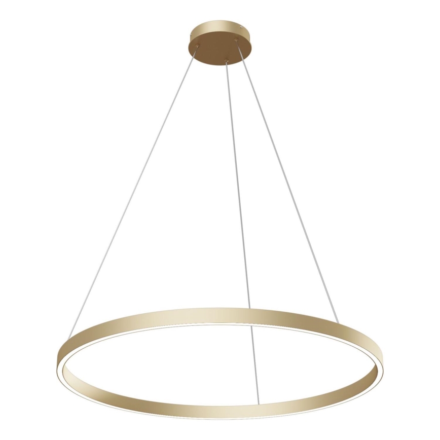 Maytoni MOD058PL-L42BS4K - Lampadario LED a sospensione con filo RIM LED/51W/230V 4000K diametro 80 cm oro