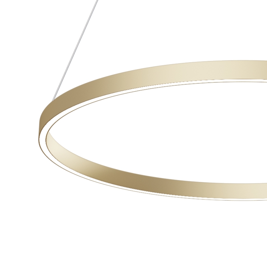 Maytoni MOD058PL-L42BS4K - Lampadario LED a sospensione con filo RIM LED/51W/230V 4000K diametro 80 cm oro