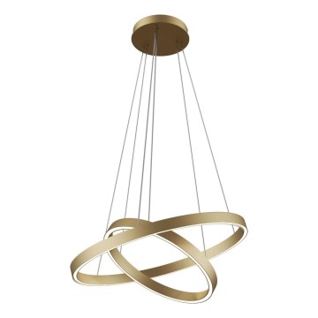Maytoni MOD058PL-L55BS3K - Lampadario LED a sospensione con filo RIM LED/61W/230V 3000K diametro 60 cm oro