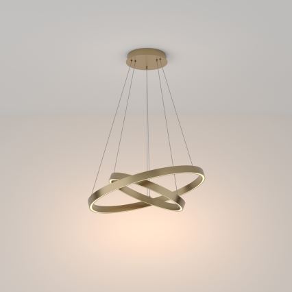 Maytoni MOD058PL-L55BS3K - Lampadario LED a sospensione con filo RIM LED/61W/230V 3000K diametro 60 cm oro