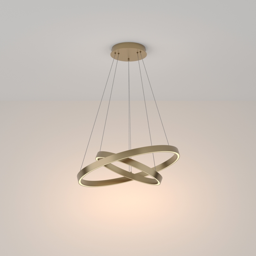 Maytoni MOD058PL-L55BS3K - Lampadario LED a sospensione con filo RIM LED/61W/230V 3000K diametro 60 cm oro
