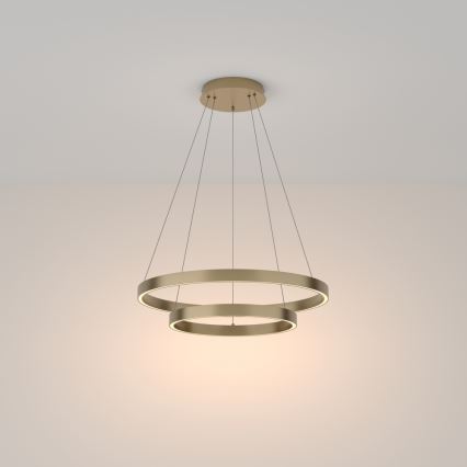 Maytoni MOD058PL-L55BS3K - Lampadario LED a sospensione con filo RIM LED/61W/230V 3000K diametro 60 cm oro