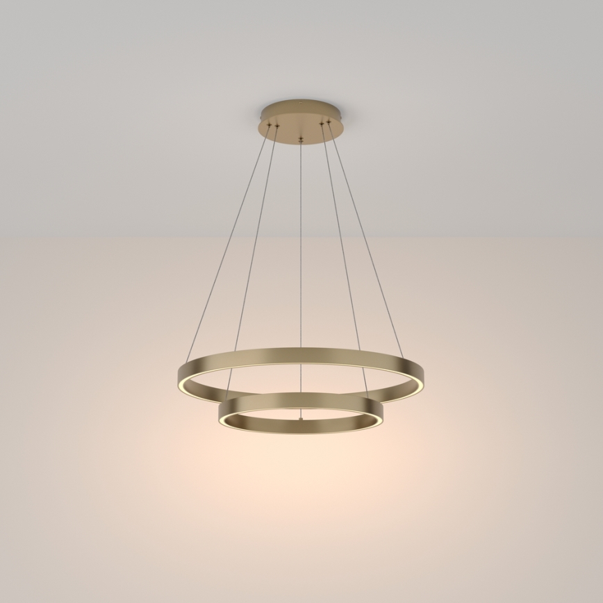 Maytoni MOD058PL-L55BS3K - Lampadario LED a sospensione con filo RIM LED/61W/230V 3000K diametro 60 cm oro