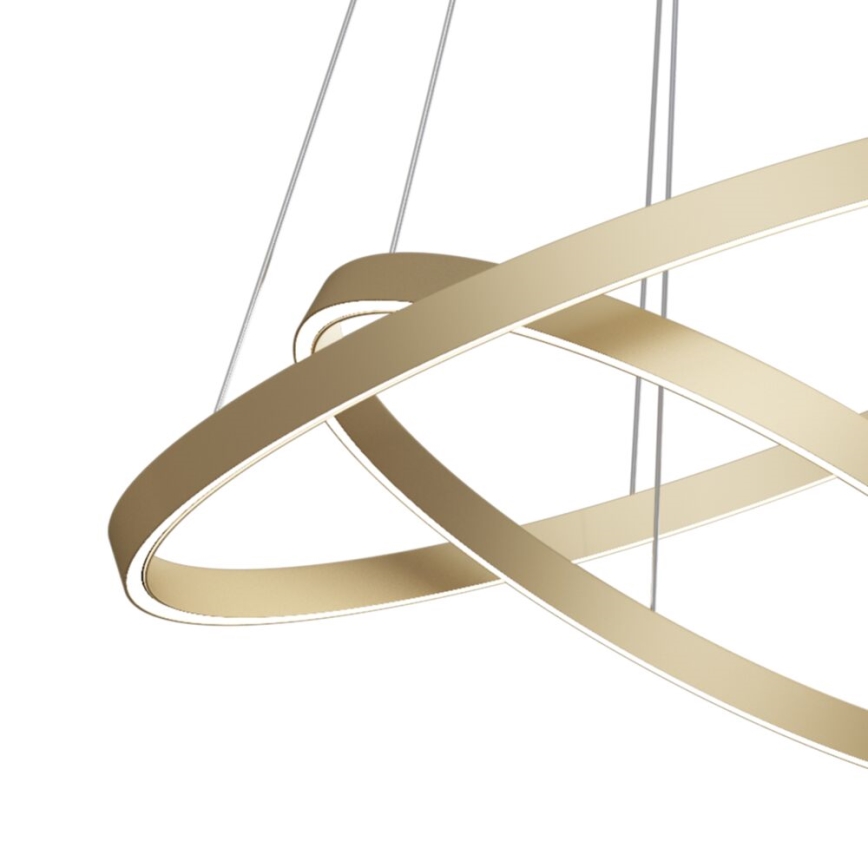 Maytoni MOD058PL-L55BS3K - Lampadario LED a sospensione con filo RIM LED/61W/230V 3000K diametro 60 cm oro