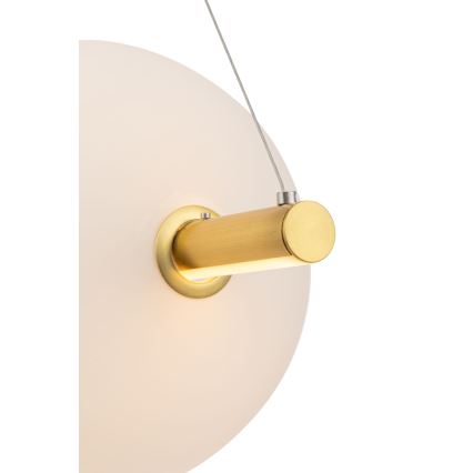 Maytoni MOD063PL-L30G3K - Lampadario LED su corda FRECCIA LED/30W/230V