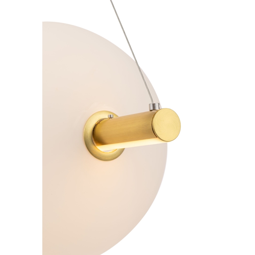 Maytoni MOD063PL-L30G3K - Lampadario LED su corda FRECCIA LED/30W/230V
