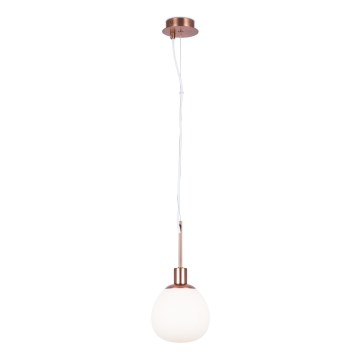 Maytoni MOD221-PL-01-G - Lampadario a sospensione con filo ERICH 1xE14/40W/230V rame