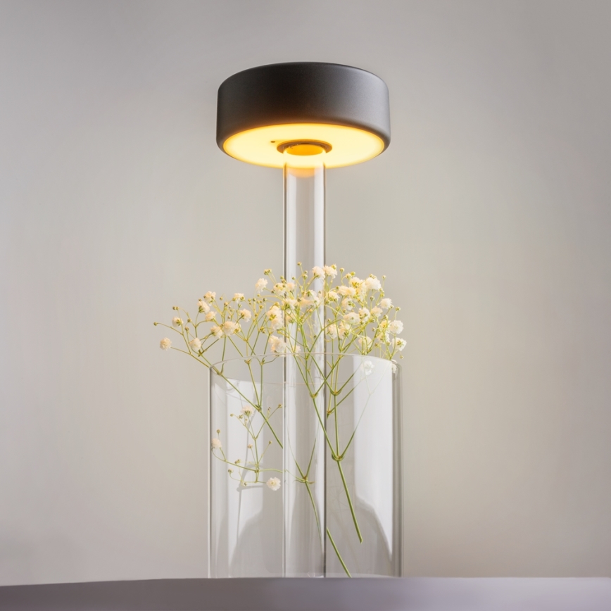 Maytoni MOD229TL-L3B3K1 - LED Dimmerabile ricaricabile portatile lampada da tavolo LED/3W/5V 2200-4000K nero/limpido