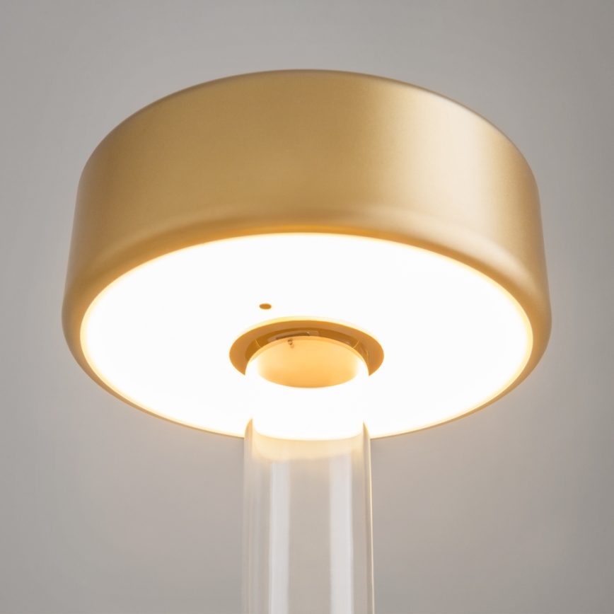 Maytoni MOD229TL-L3G3K1 - Dimmbare, aufladbare LED-Tischleuchte (tragbar) LED/3W/5V 2200-4000K golden/klar