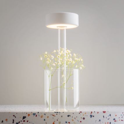 Maytoni MOD229TL-L3W3K1 - Lampe de table portable à intensité variable LED/3W/5V 2200-4000K blanc/transparent
