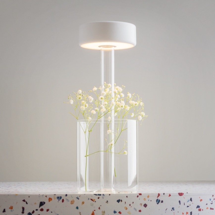 Maytoni MOD229TL-L3W3K1 - Lampe de table portable à intensité variable LED/3W/5V 2200-4000K blanc/transparent
