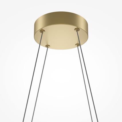 Maytoni MOD244PL-L50BSK - LED-Hängeleuchte HALO mit Kabelaufhängung, LED/40W/230V, goldfarben
