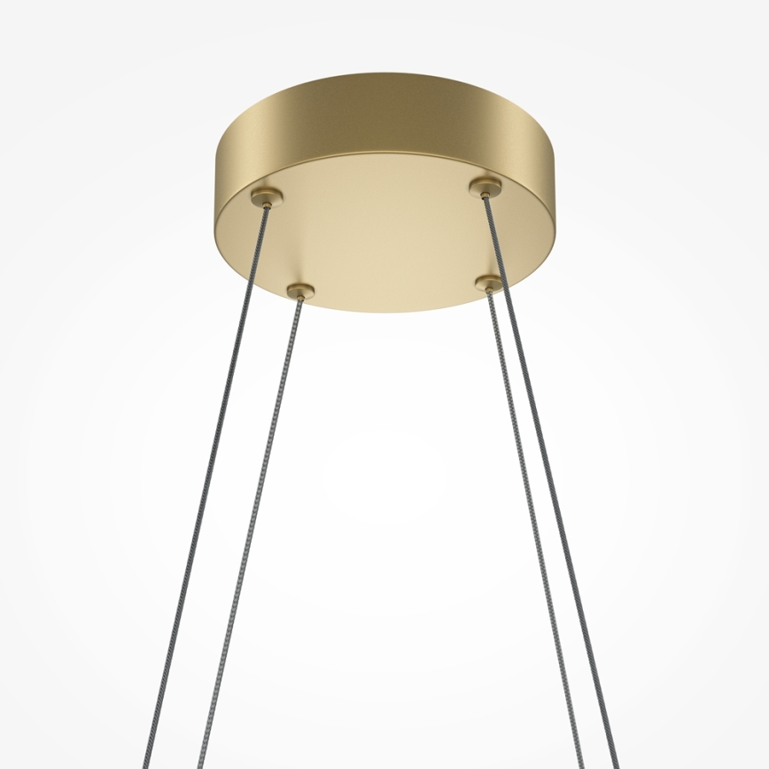 Maytoni MOD244PL-L50BSK - LED-Hängeleuchte HALO mit Kabelaufhängung, LED/40W/230V, goldfarben