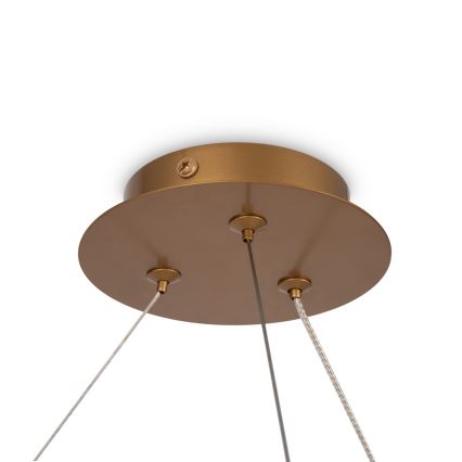 Maytoni MOD317PL-06G - Lampadario a sospensione con filo BALANCE 6xG9/40W/230V rame