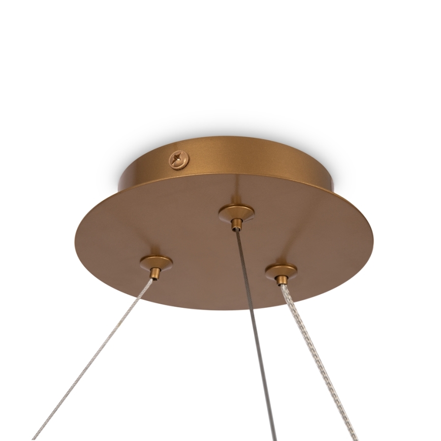 Maytoni MOD317PL-06G - Lampadario a sospensione con filo BALANCE 6xG9/40W/230V rame