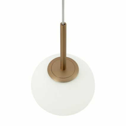 Maytoni MOD321PL-01G1 - Lampadario a sospensione con filo BASIC 1xE14/40W/230V oro