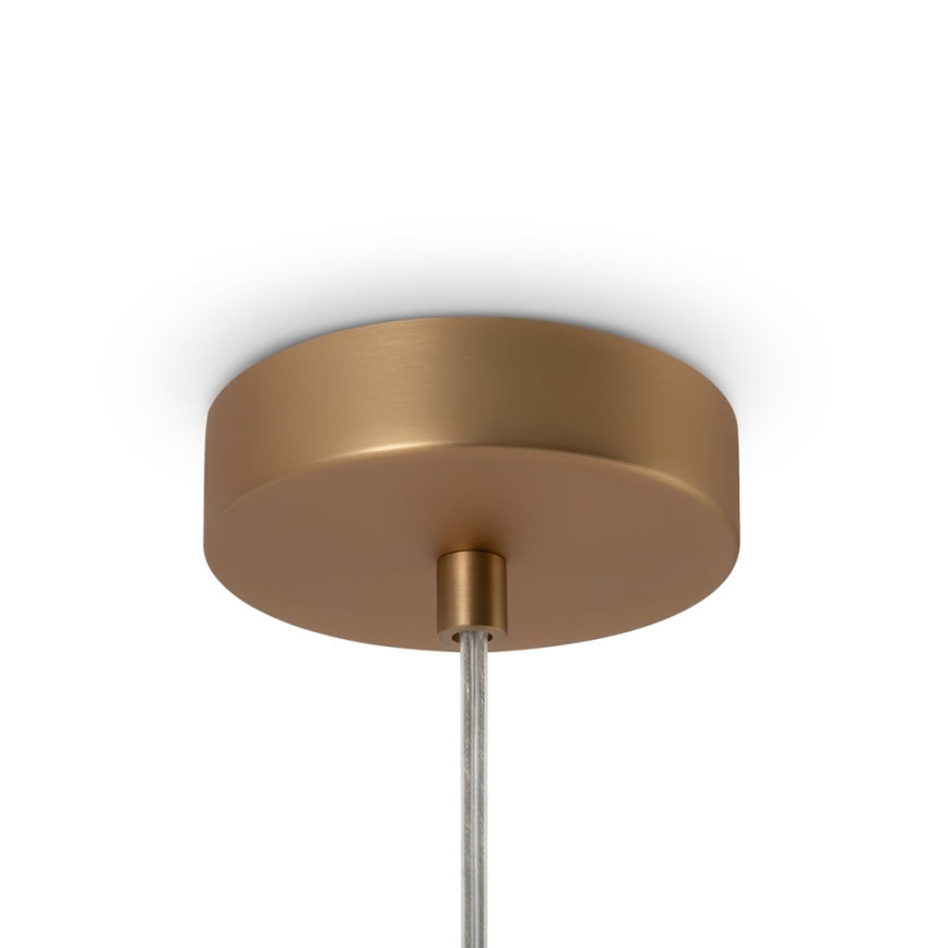 Maytoni MOD321PL-01G1 - Lampadario a sospensione con filo BASIC 1xE14/40W/230V oro