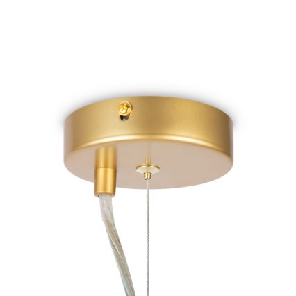 Maytoni MOD545PL-06G - Lampadario a sospensione con filo DALLAS 6xG9/28W/230V ottone