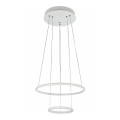 Maytoni MOD807-PL-02-36-W - Lampadario LED a sospensione con filo NOLA LED/36W/230V